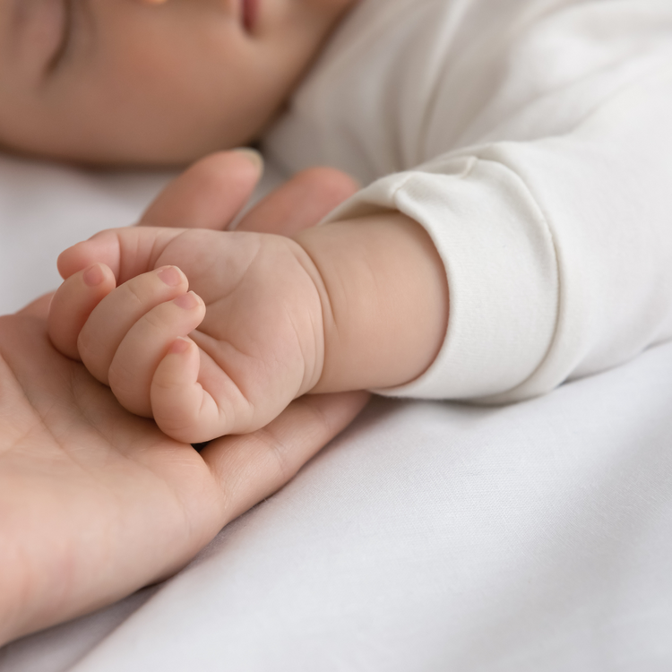 Cuddle Newborn Essentials